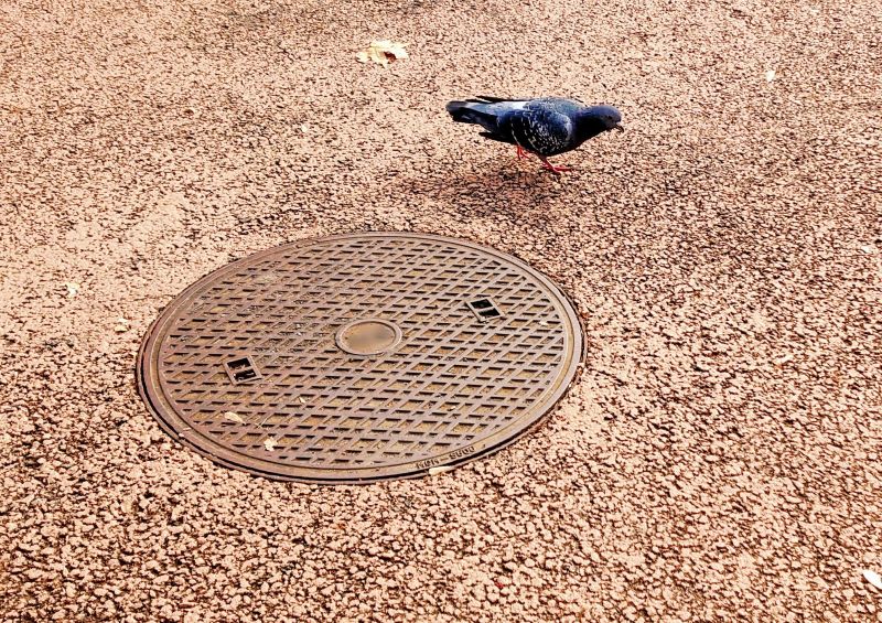 マンホールの画像