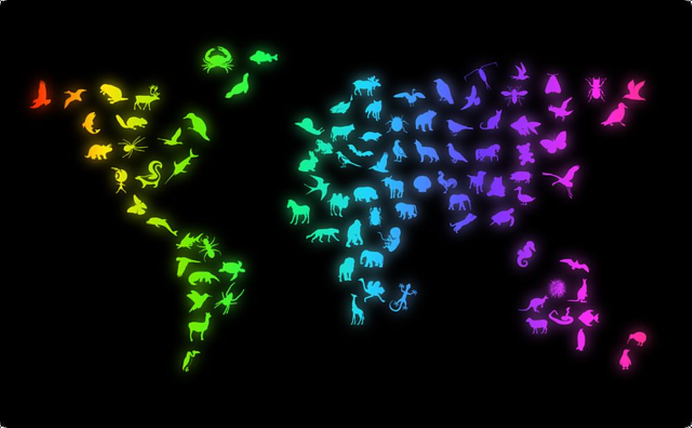 生物 分類 ドメイン 界 種類 数 地球 生物多様性