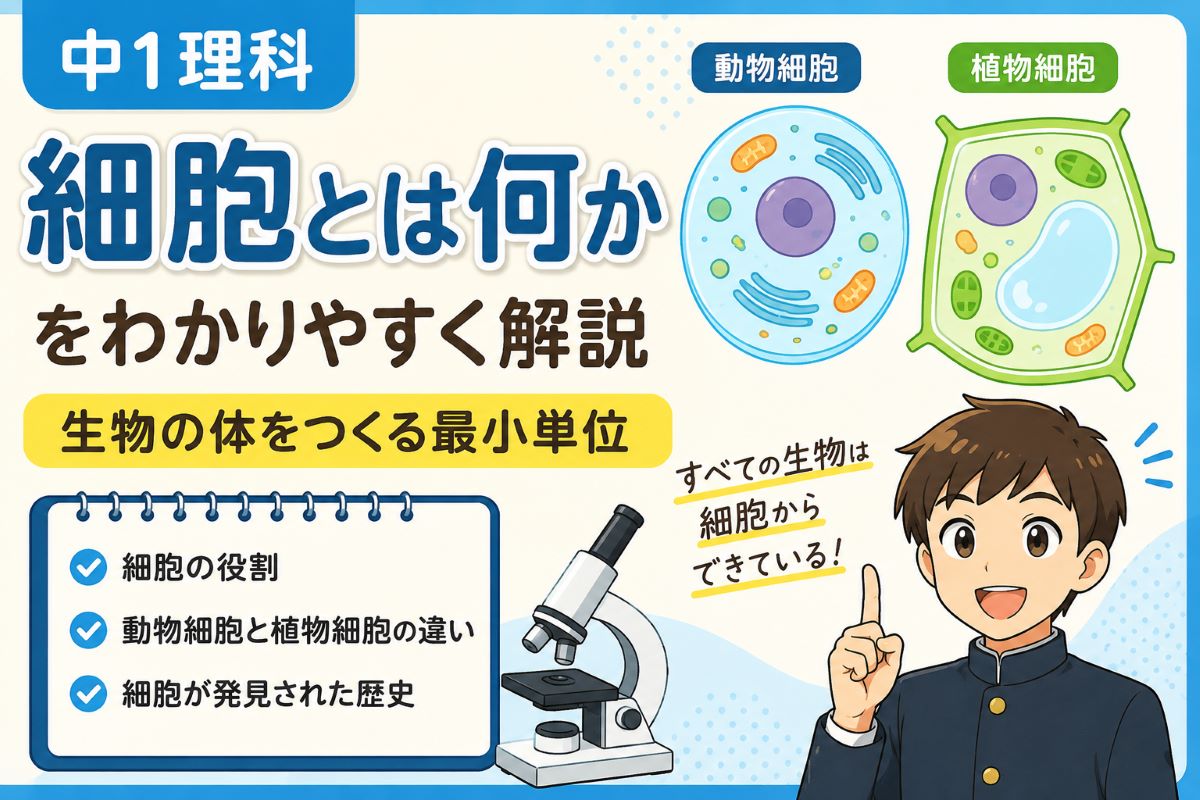 "細胞とは何かをわかりやすく解説した中学1年生向け理科の学習イラスト"