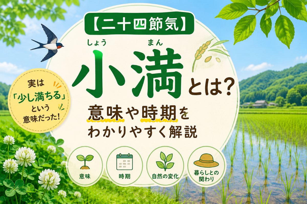 二十四節気の小満をわかりやすく紹介する学習用イラスト。青々とした田んぼや新緑が広がり、草木が成長する初夏の風景を描いた雑学記事向け画像。