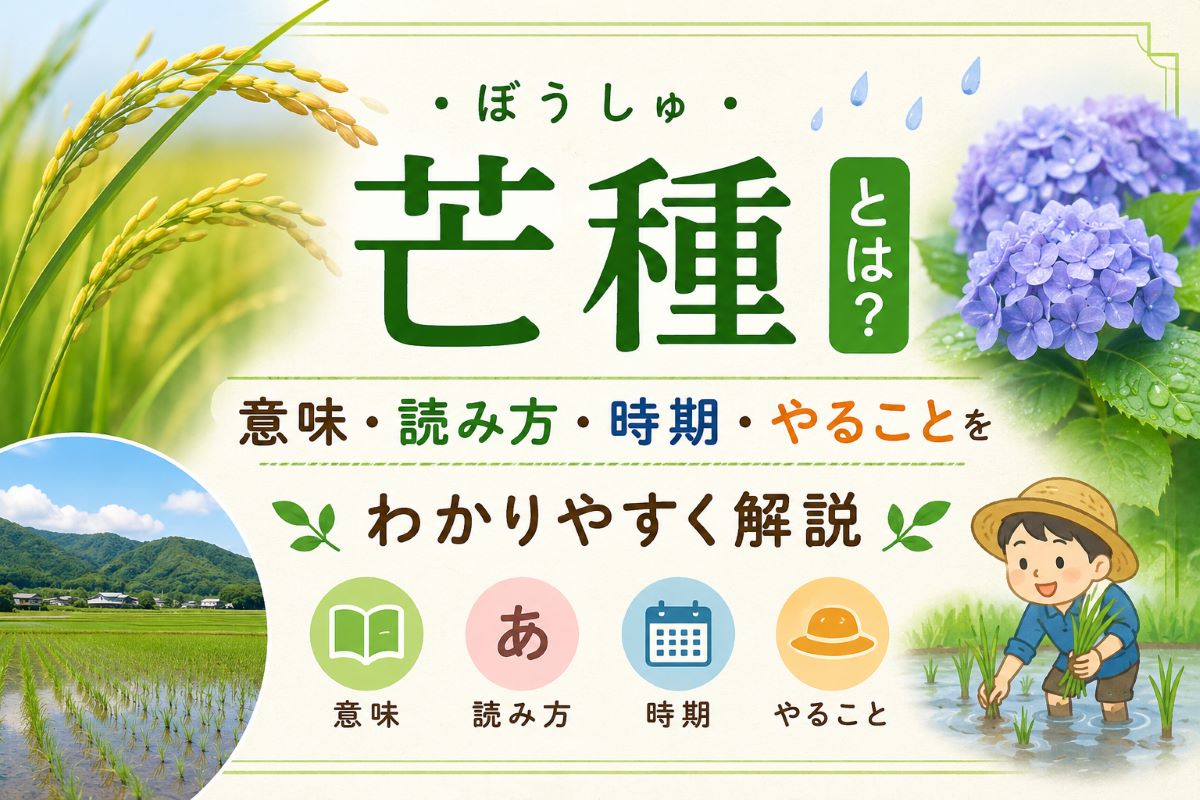 芒種(ぼうしゅ)の意味や時期、田植えや梅雨など初夏の季節の特徴をわかりやすく紹介する学習ブログ用アイキャッチ画像