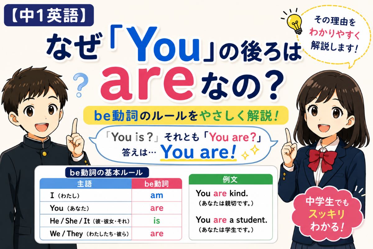 なぜ「You」の後ろはareなのかを中学1年生向けにやさしく解説したイメージ